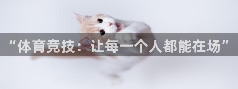 vsport体育