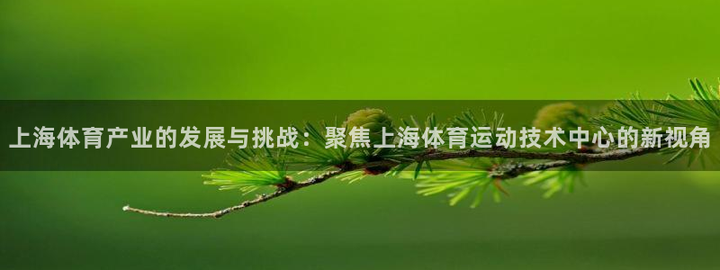 vsport体育在线官网