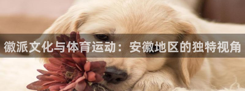 vsport体育：徽派文化与体育运动：安徽地区的独特视角