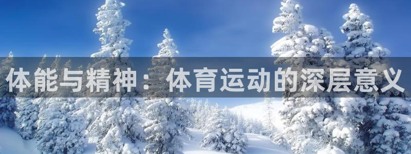 vsport体育在线官网：体能与精神：体育运动的深层意义