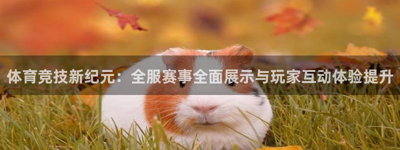 vsport体育：体育竞技新纪元：全服赛事全面展示与玩家互动体验提升