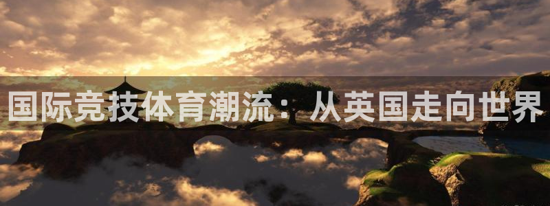 vsport体育在线官网
