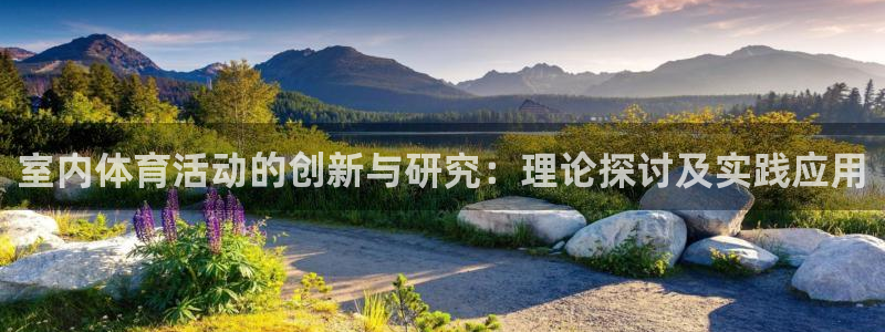 vsport体育：室内体育活动的创新与研究：理论探讨及实践应用