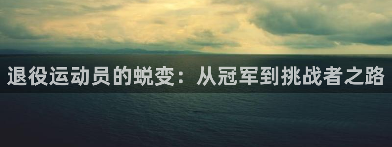 vsport体育在线官网：退役运动员的蜕变：从冠军到挑战者之路