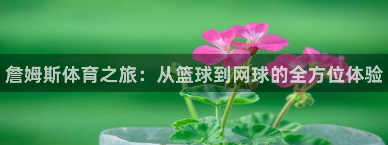 vsport体育在线官网