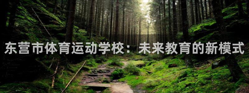 vsport体育在线官网