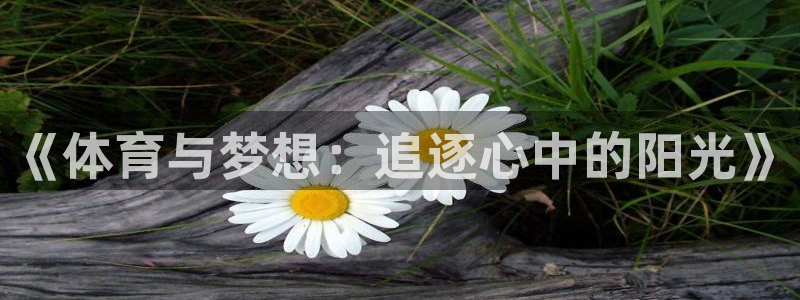 vsport体育：《体育与梦想：追逐心中的阳光》